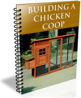 Building a Chicken Coop